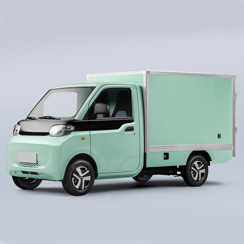 MINIKA VAN (EEC/COC) 